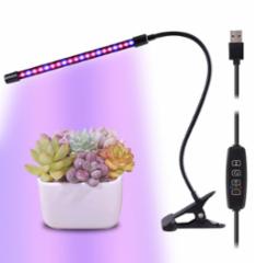 Clip-Grow-Light