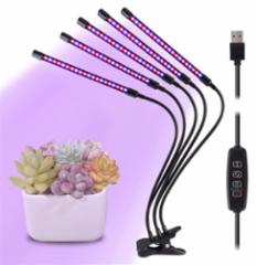 Clip-Grow-Light